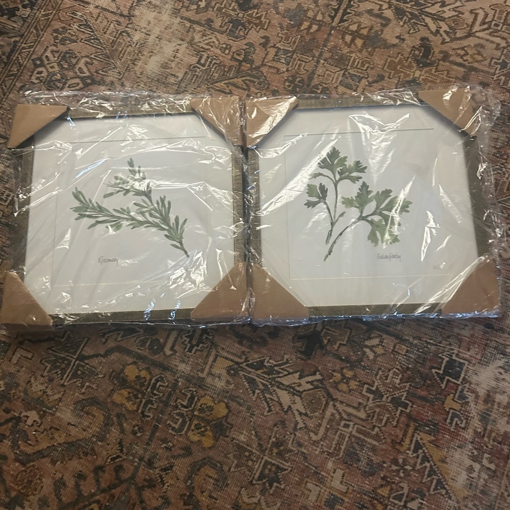 Gracie Oaks Botanical Wall Art Set - Green and White